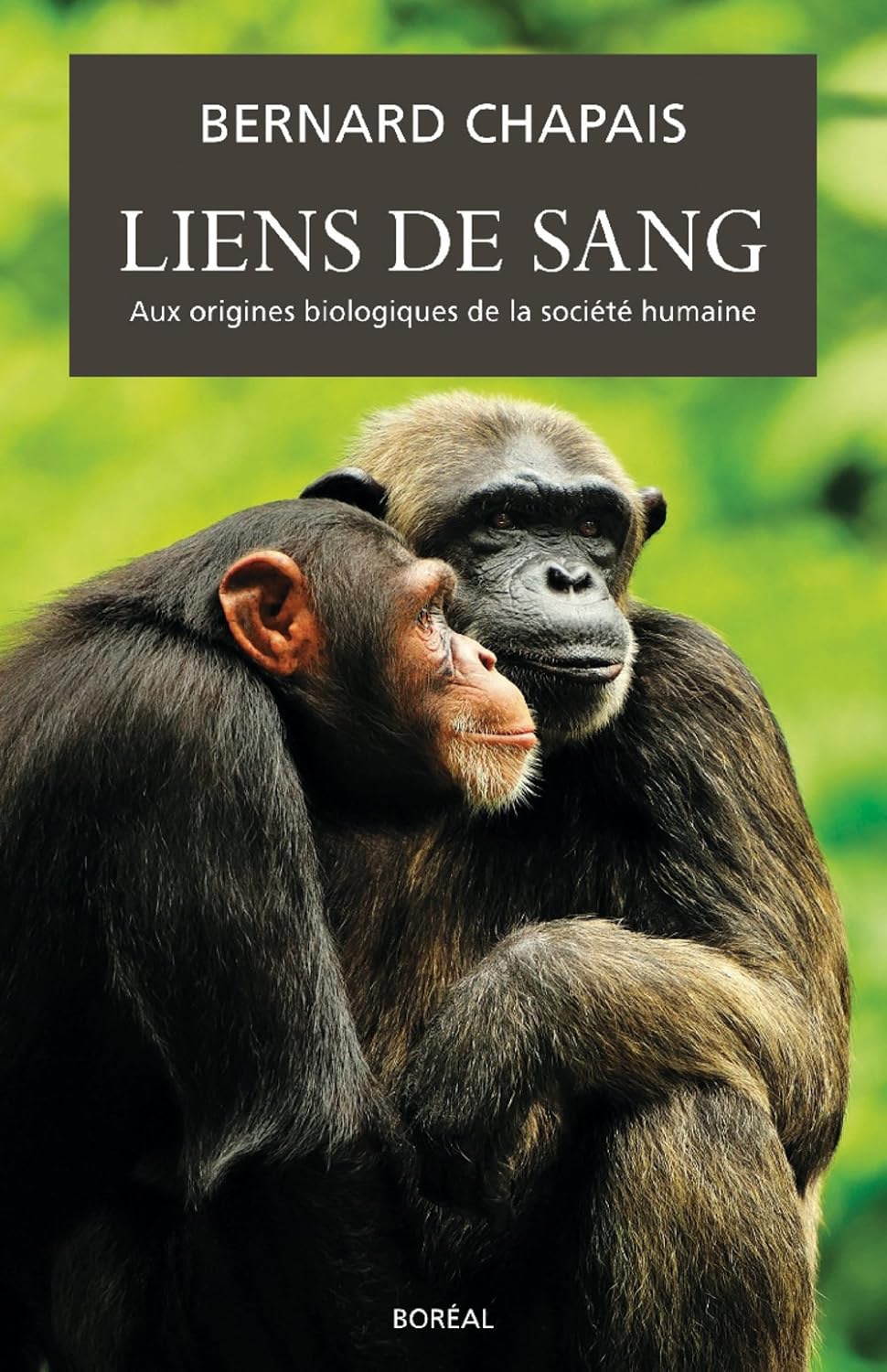 Livre Liens de sang : Aux origines biologiques de la société humaine - Bernard Chapais (Livre d'o...