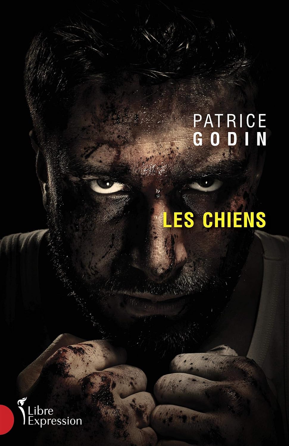 Livre Les chiens - Patrice Godin (Livre d'occasion) - ISBN 2764813805