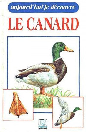 Livre Aujourd'hui je découvre : Le canard (Livre d'occasion) - ISBN 2800622083