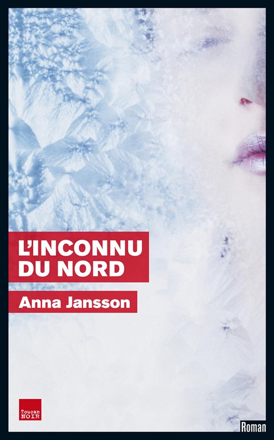 Livre L'inconnu du nord - Anna Johnson (Livre d'occasion) - ISBN 2810003041