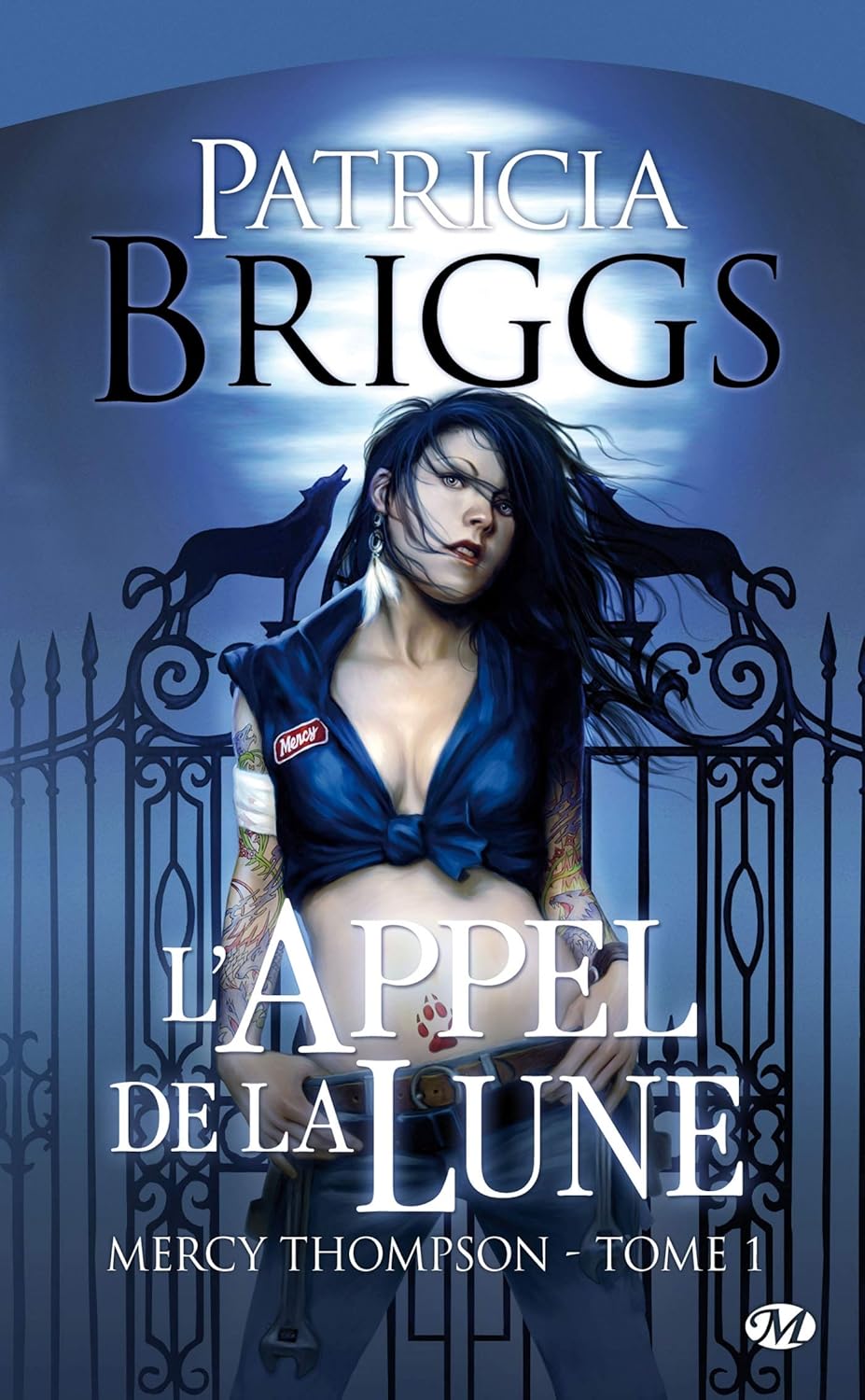 Livre L'appel de la lune - Patricia Briggs (Livre d'occasion) - ISBN 281120041X