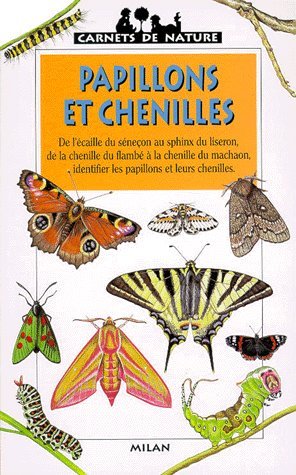 Livre Papillons et chenilles (Livre d'occasion) - ISBN 2841137813