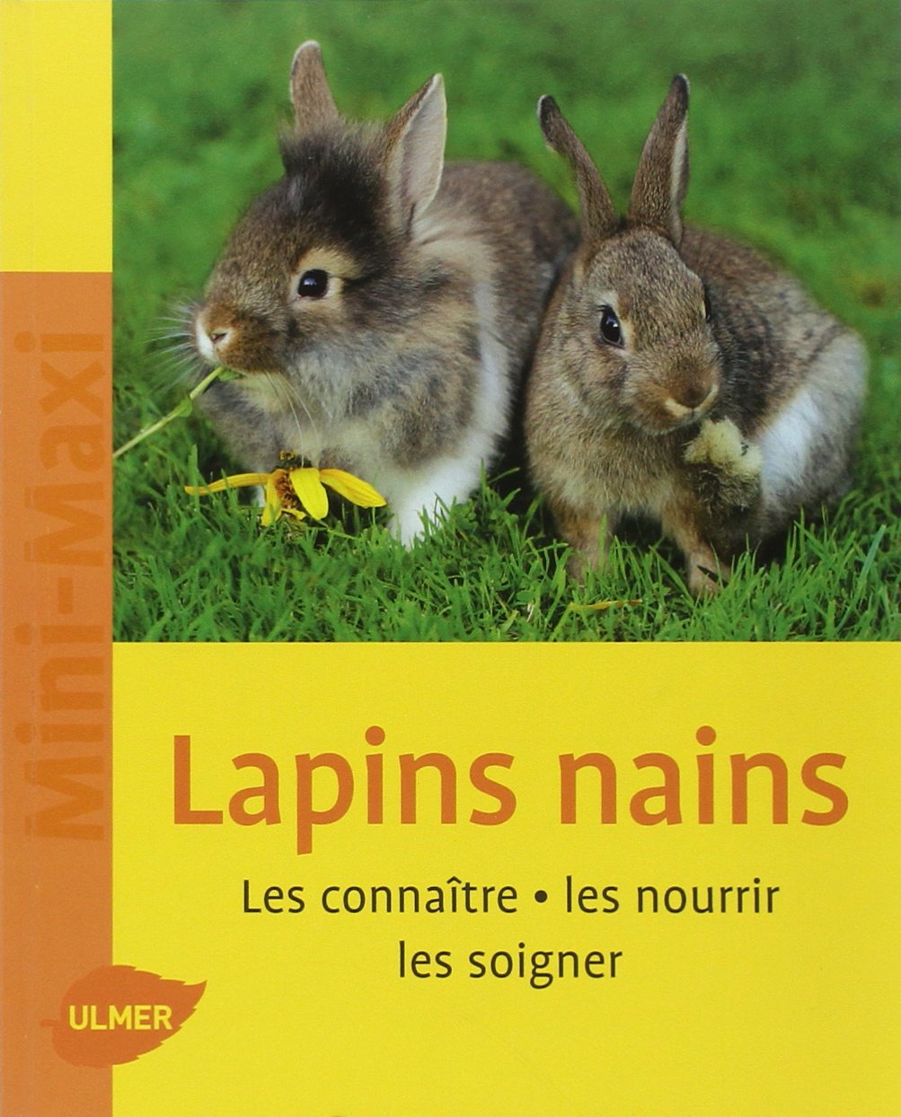 Livre Lapins nains : Les connaître, les nourrir, les soigner (Livre d'occasion) - ISBN 2841383725
