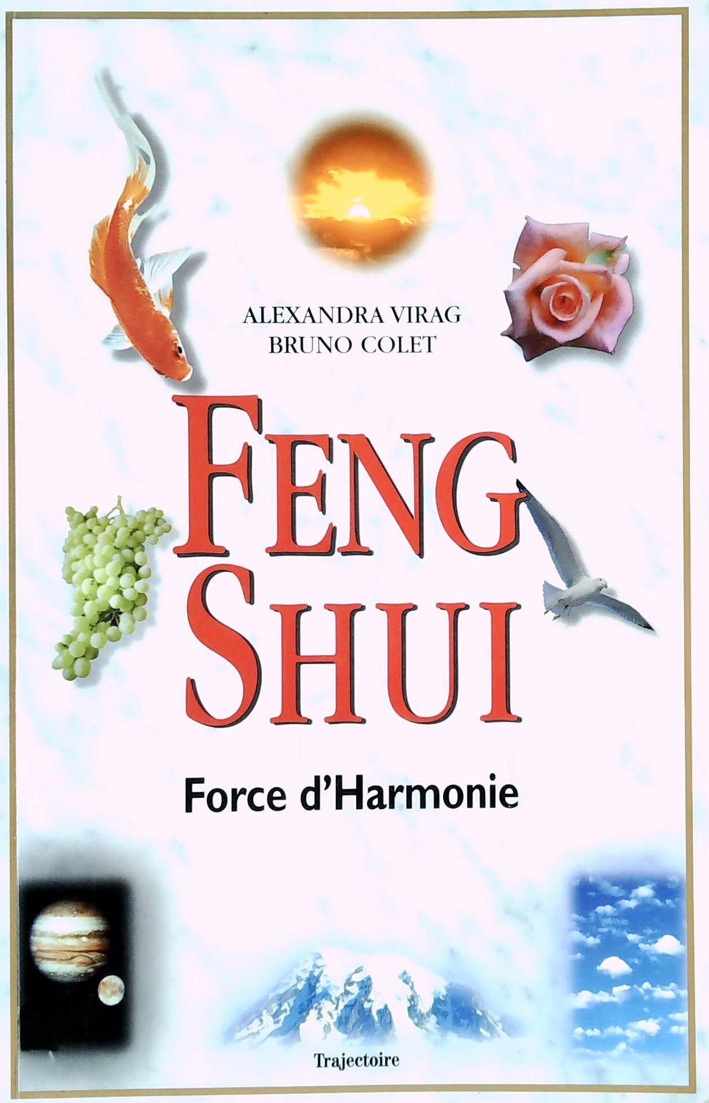 Livre Feng Shui : Force et harmonie - Alexandra Virag (Livre d'occasion) - ISBN 2841971066