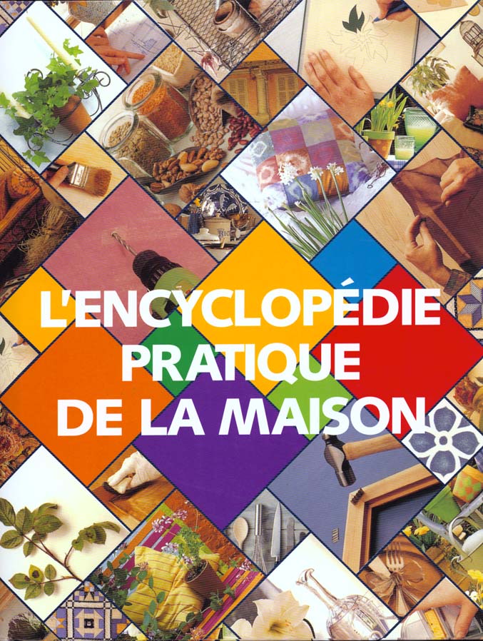 Livre Encyclopédie pratique de la maison - Collectif (Livre d'occasion) - ISBN 2841981320