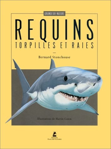 Livre Les requins, les torpilles et les raies (Martin Camm Bernard Stonehouse) (Livre...