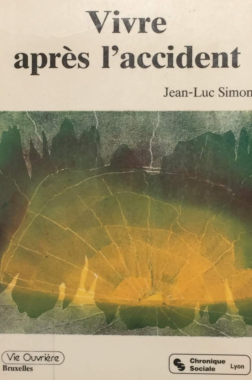 Livre Vivre après l'accident - Jean-Luc Simon (Livre d'occasion) - ISBN 2850081140