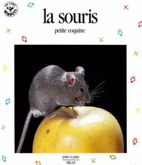 Livre La souris, petite coquine - Collectif (Livre d'occasion) - ISBN 2867265452