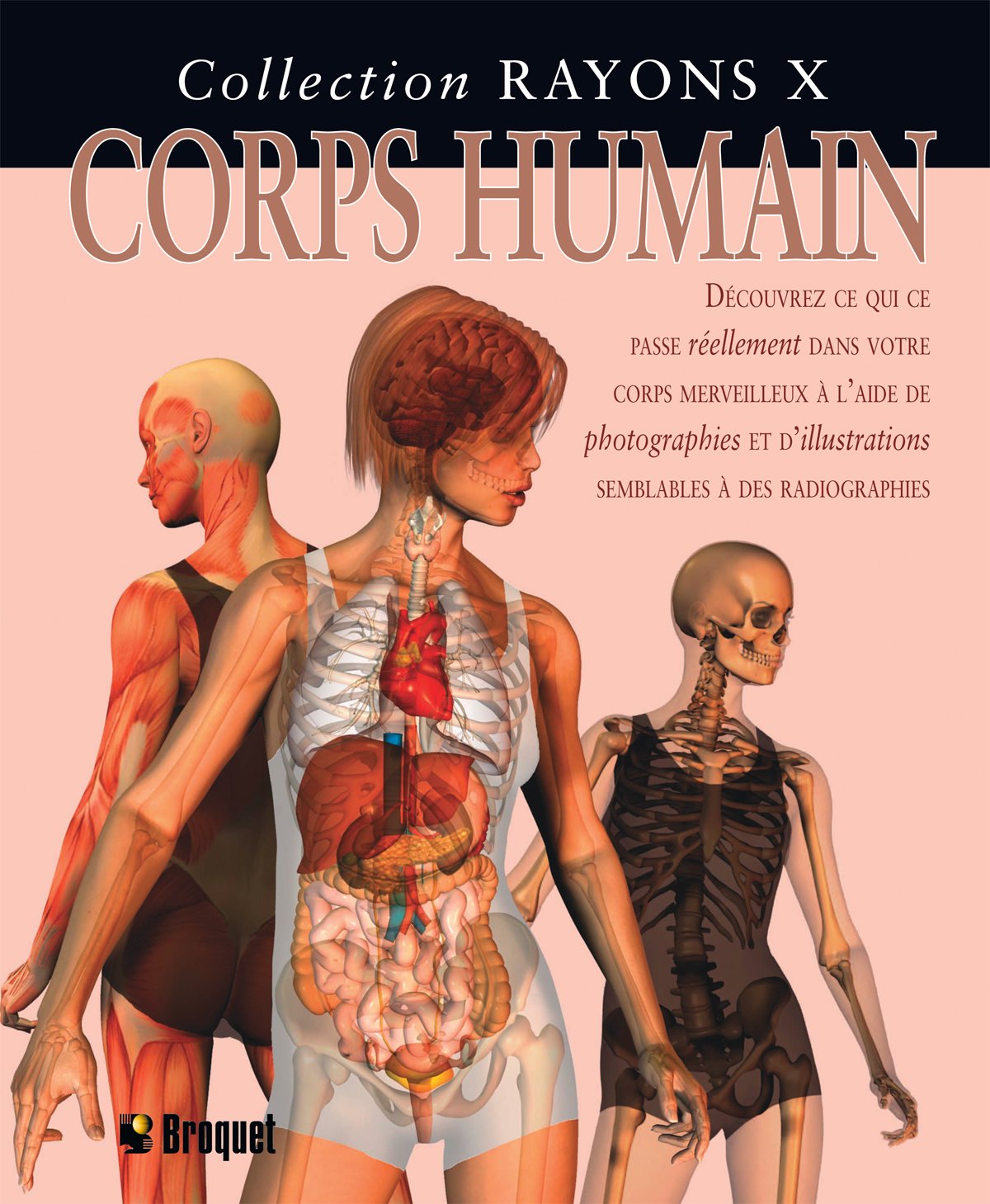 Livre Le corps humain - Steve Parker (Livre d'occasion) - ISBN 2890008835
