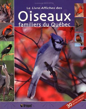 Le livre affiches des oiseaux familiers du Québec - Suzanne Brûlotte