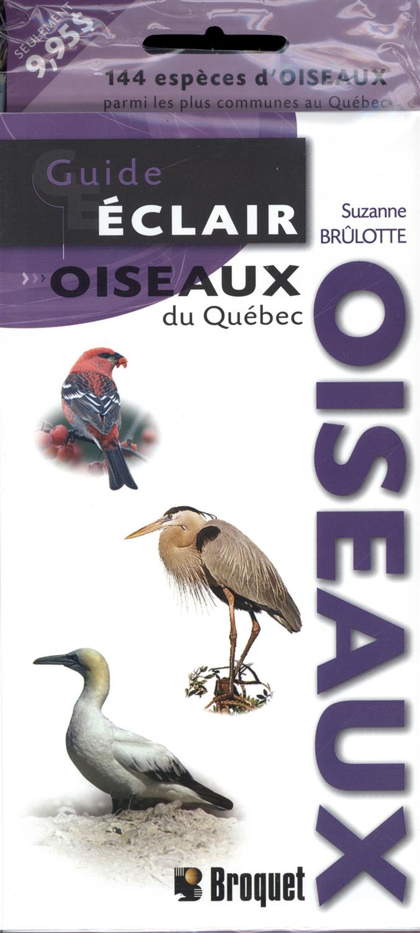 Livre Oiseaux du Québec - Suzanne Brûlotte (Livre d'occasion)