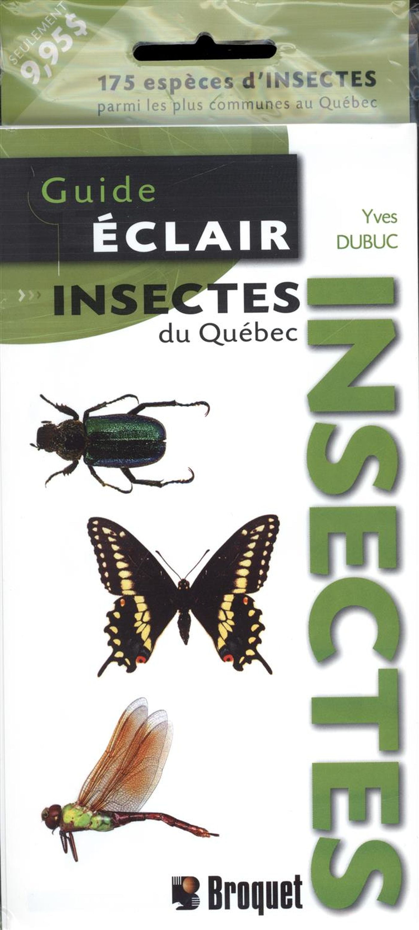 Livre Insectes du Québec - Yves Dubuc (Livre d'occasion) - ISBN 2890008940