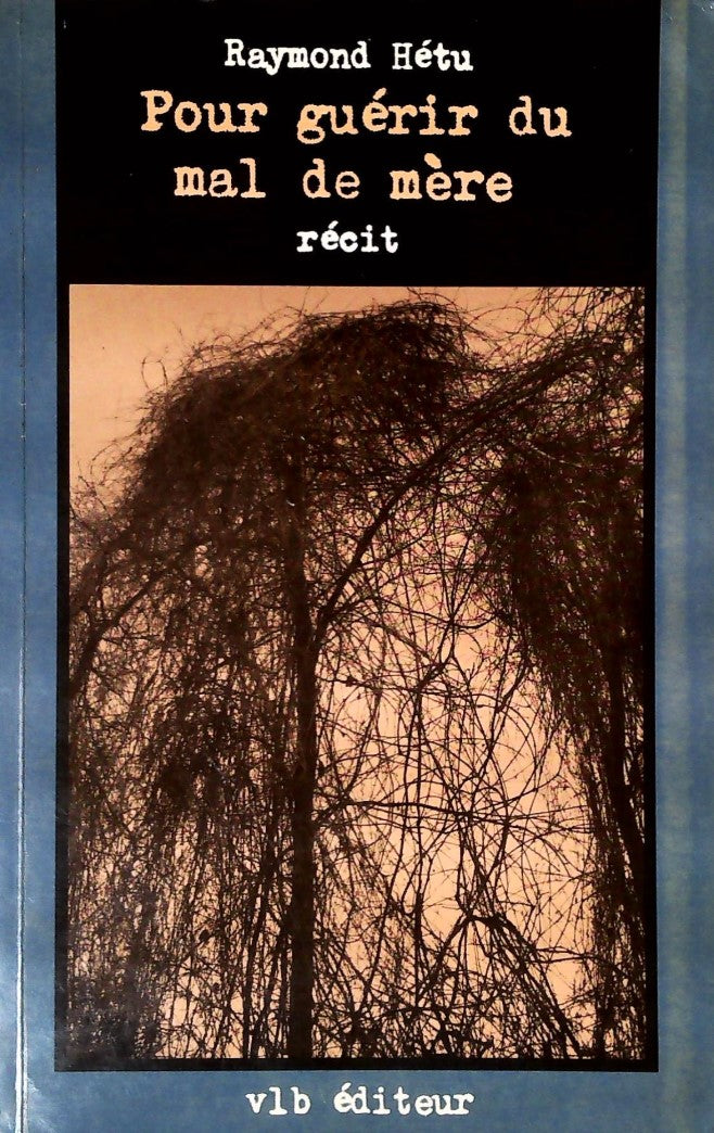 Livre Pour guérir du mal de mère - Raymond Hétu (Livre d'occasion) - ISBN 2890053032