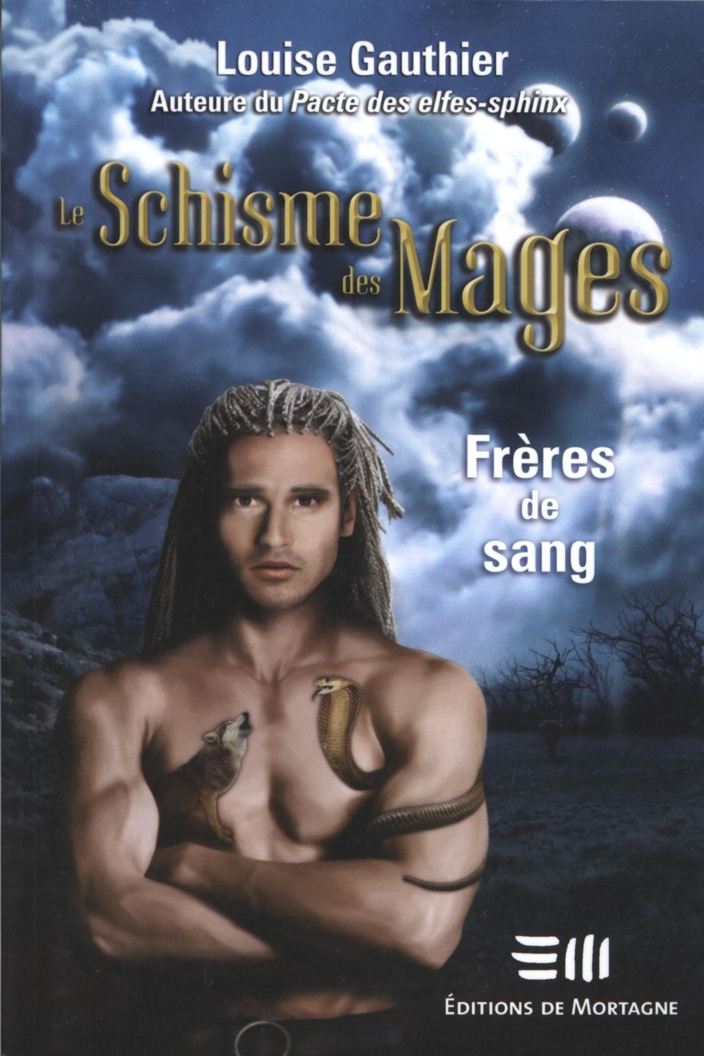 Livre Frères de sang - Louise Gauthier (Livre d'occasion) - ISBN 2890747530