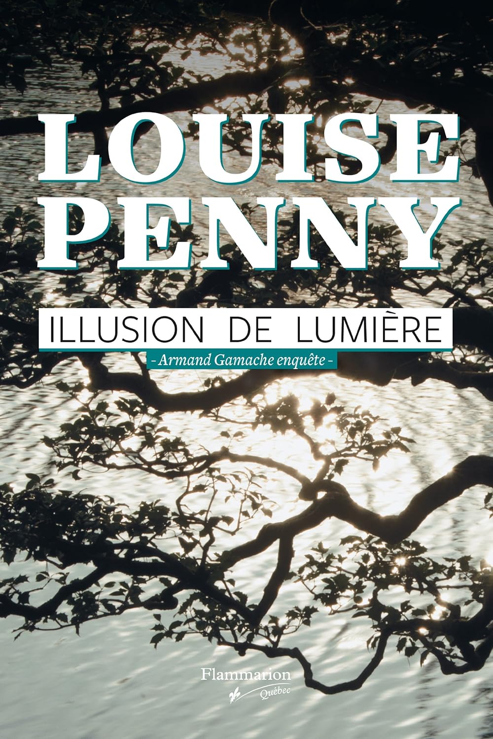 Livre Illusion de lumière : Armand Gamache enquête - Louise Penny (Livre d'occasion) - ISBN 28907...