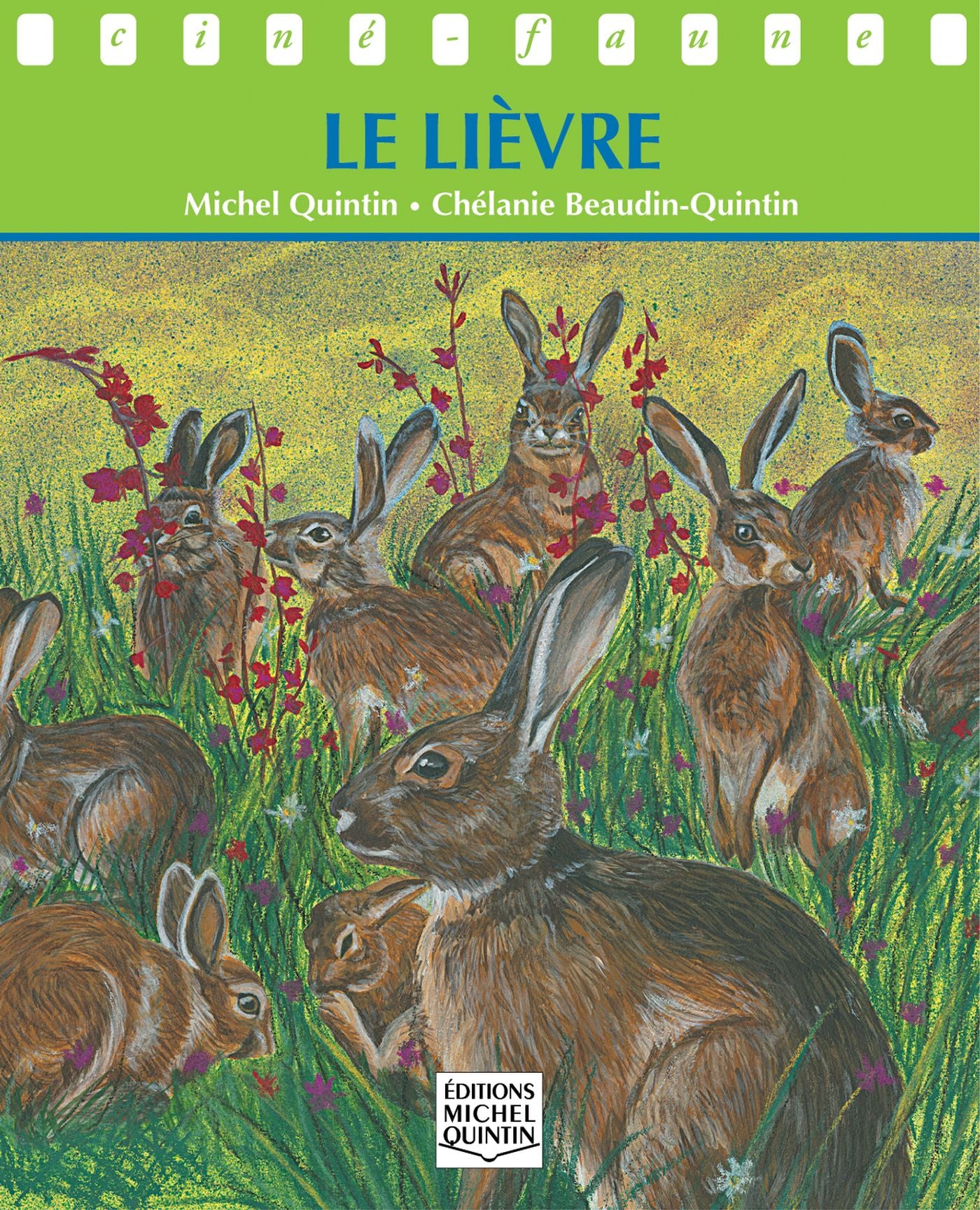 Livre Le lièvre - Michel Quintin (Livre d'occasion) - ISBN 2894352506