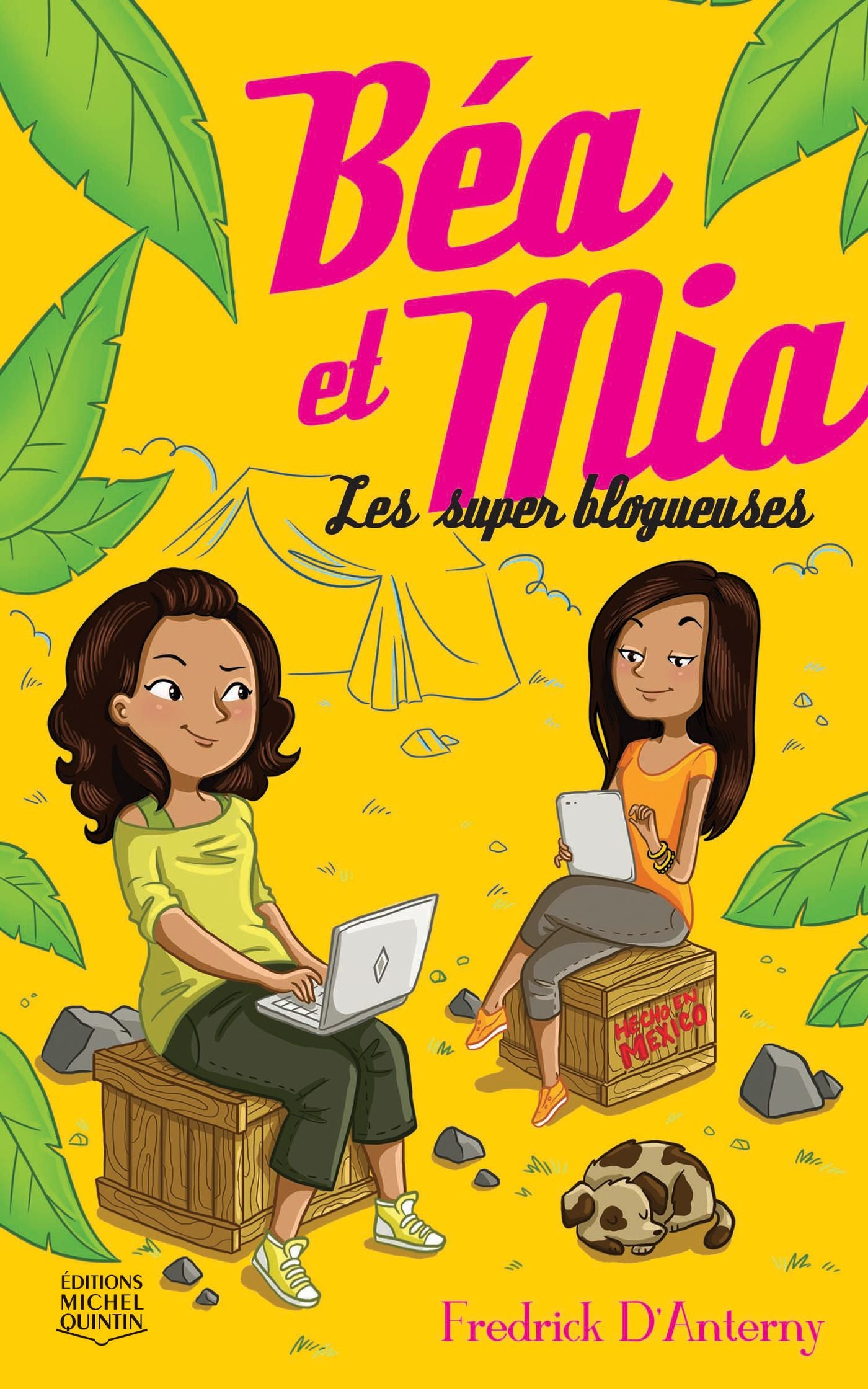 Livre Les super blogueuses - Fredrick D'Anterny (Livre neuf) - ISBN 2894357419