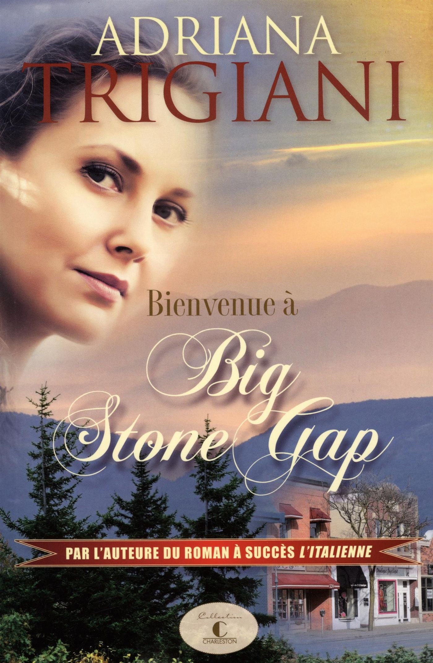 Livre Bienvenue à Big Stone Gap - Adriana Trigiani (Livre d'occasion)