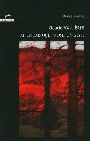 Livre J'attendais que tu oses un geste - Claude Vallières (Livre d'occasion) - ISBN 2895371741