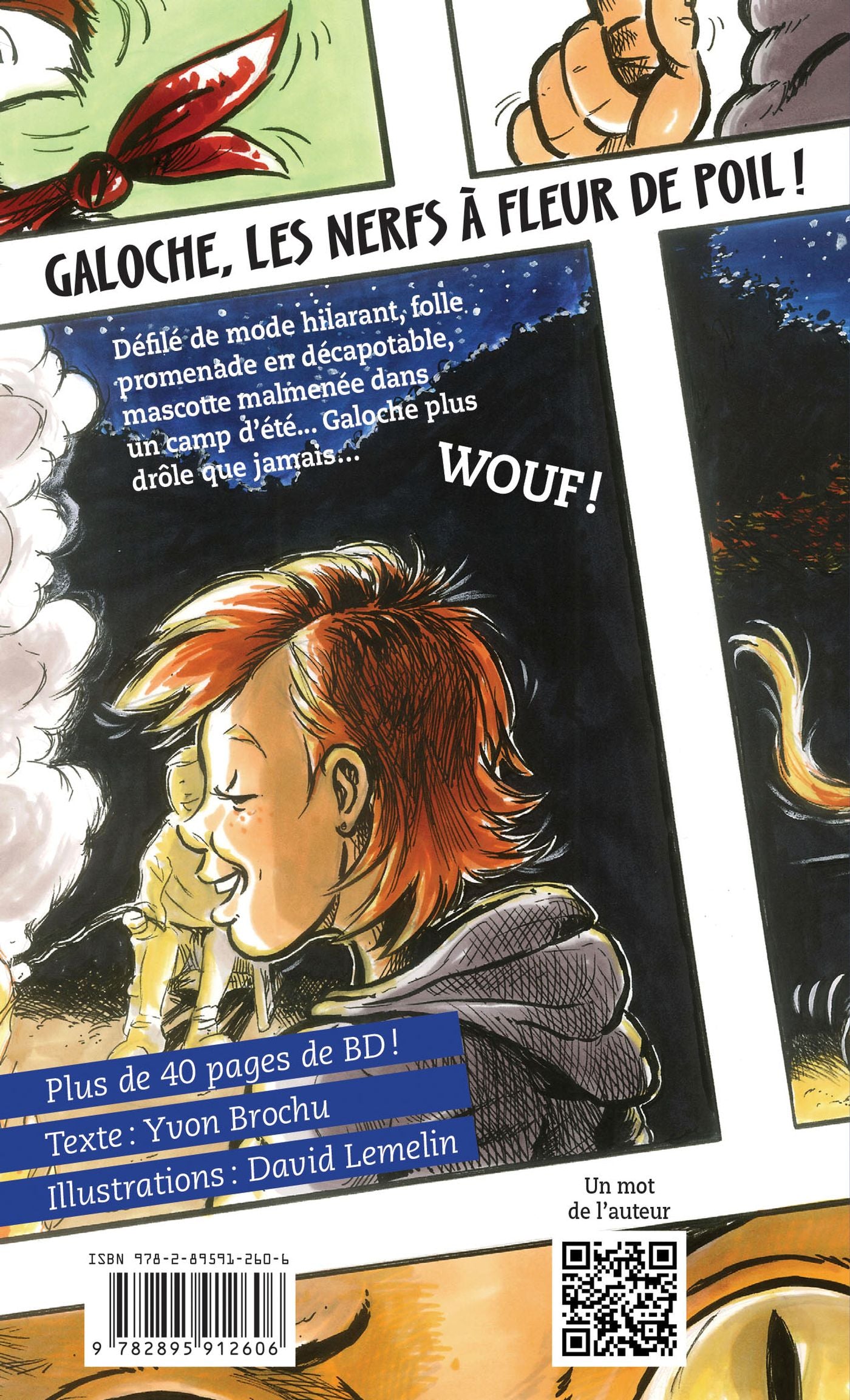 Galoche # 16 : Les nerfs à fleur de poil! (Yvon Brochu)