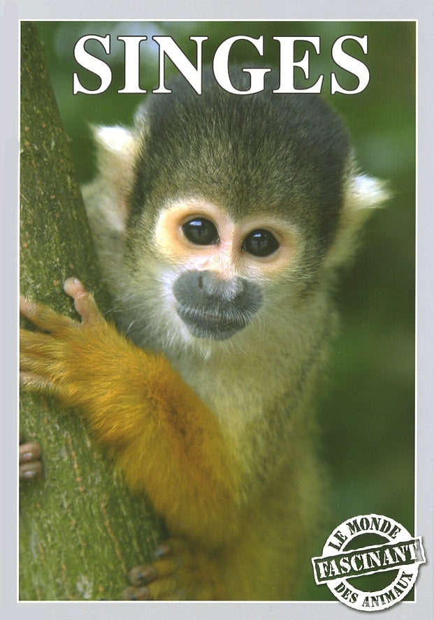 Livre Singes (Livre d'occasion)