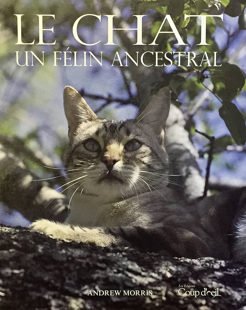 Le chat, un félin ancestral - Andrew Morris