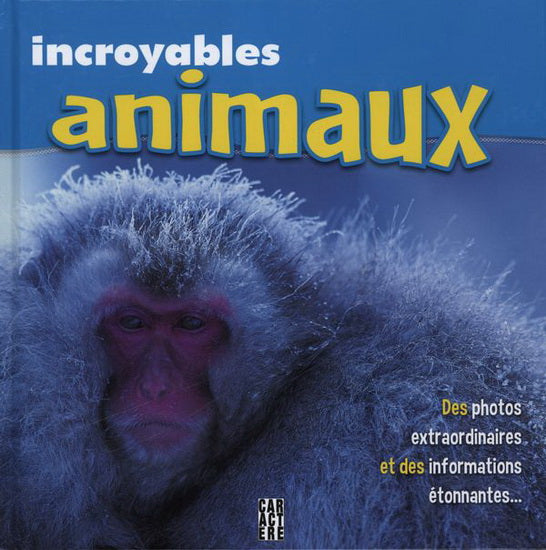 Livre Incroyables animaux - Collectif (Livre d'occasion) - ISBN 2896428089