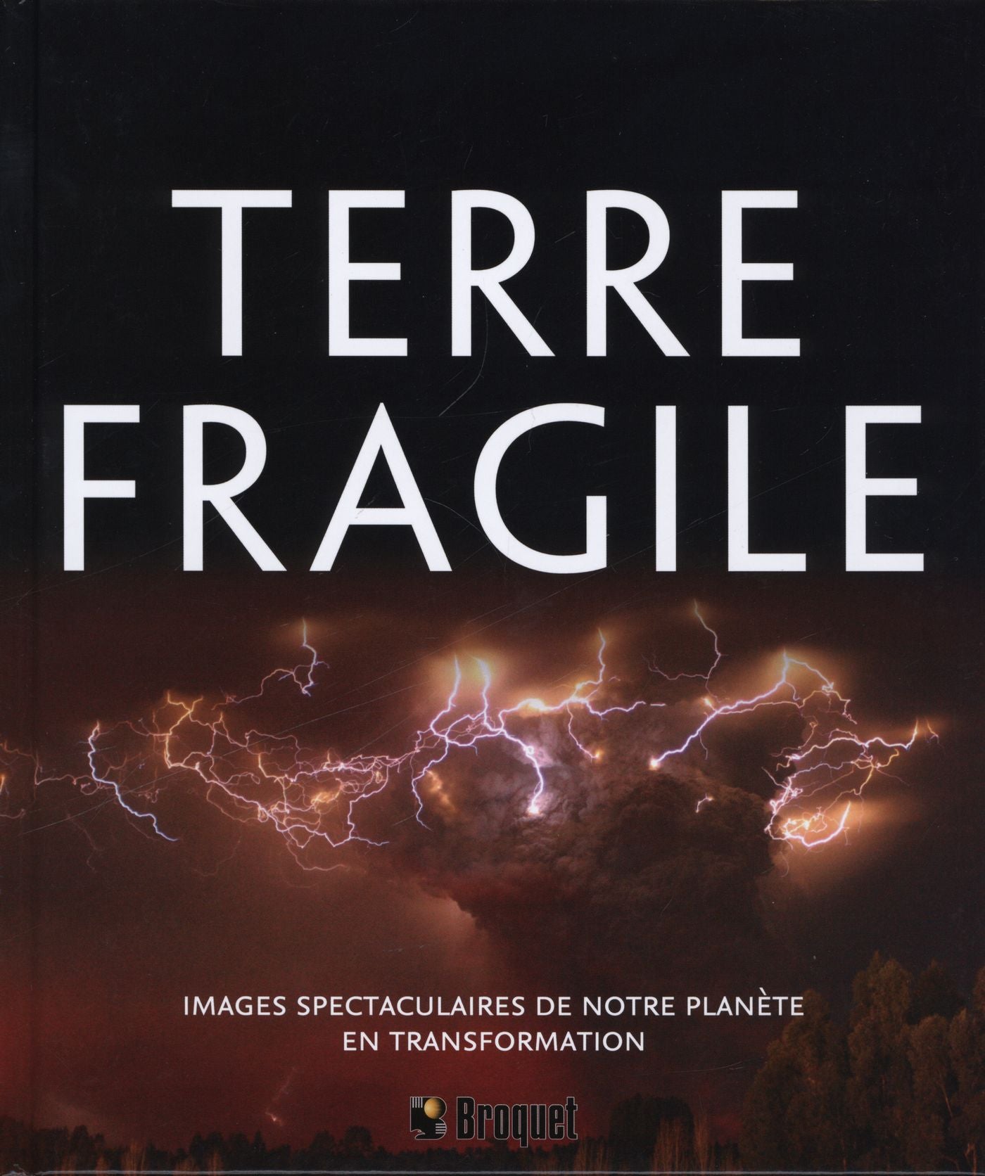 Livre Terre fragile - Collectif (Livre d'occasion)