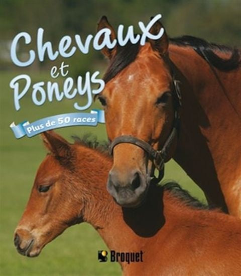 Livre Chevaux et poneys : Plus de 50 races - Nicola Jane Swinney (Livre d'occasion) - ISBN 289654...