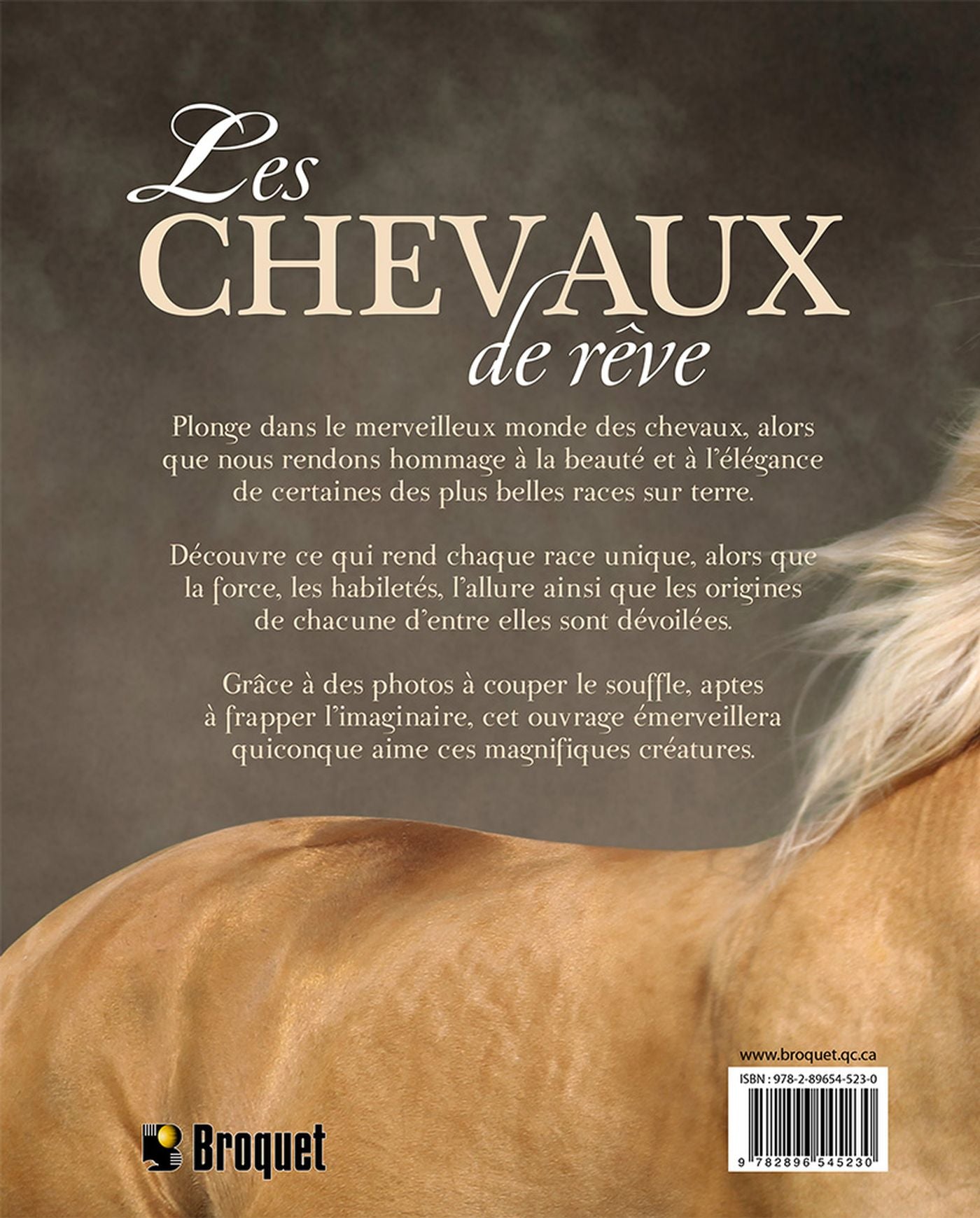 Livre Les chevaux de rêve (Livre d'occasion) - ISBN 2896545239