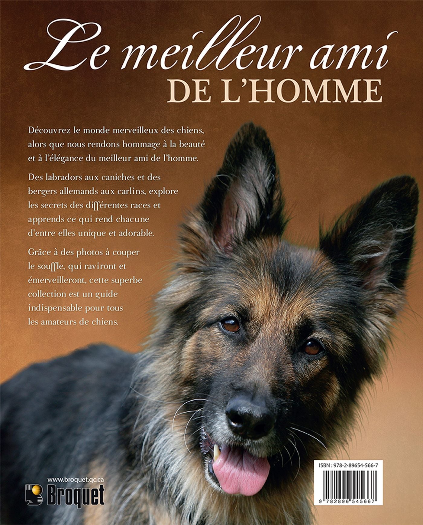 Livre Le meilleur ami de l'homme - Nicola Jane Swinney (Livre d'occasion) - ISBN 2896545662