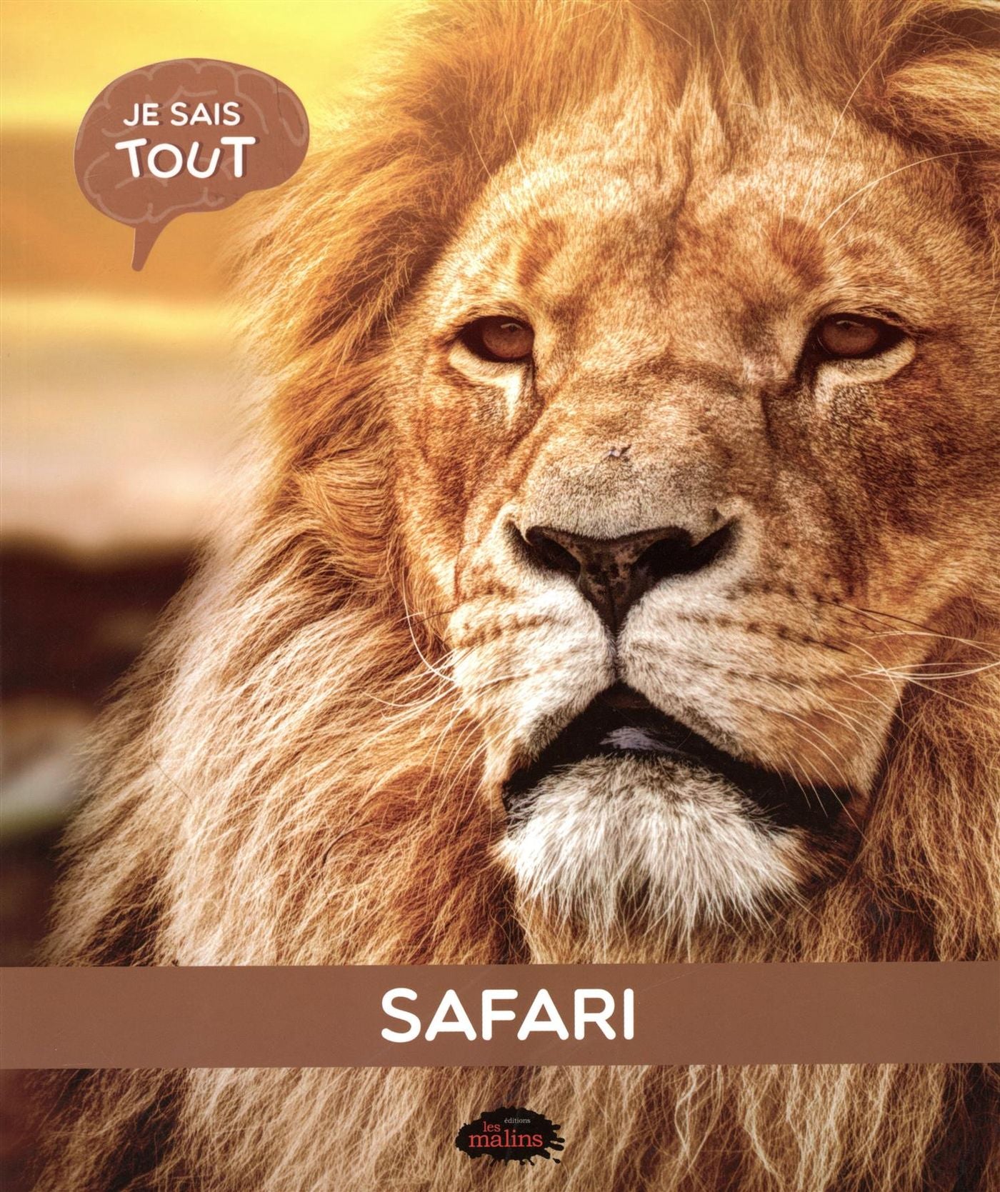 Livre Safari - Collectif (Livre d'occasion)
