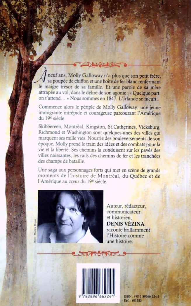 Livre Gloire aux vaincus - Denis Vézina (Livre neuf) - ISBN 2896662243