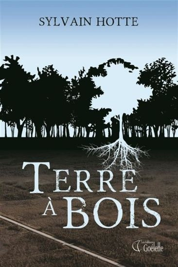 Livre Terre à bois (Sylvain Hotte) (Livre d'occasion) - ISBN 2896901795