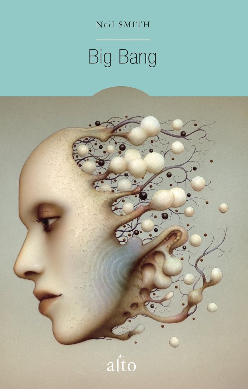 Livre Big Bang (FR) - Neil Smith (Livre d'occasion) - ISBN 2896942572