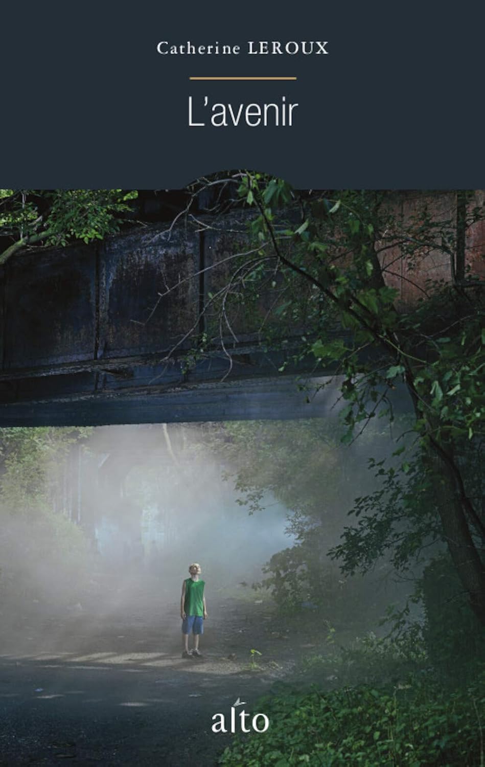 Livre L'avenir - Catherine Leroux (Livre d'occasion)