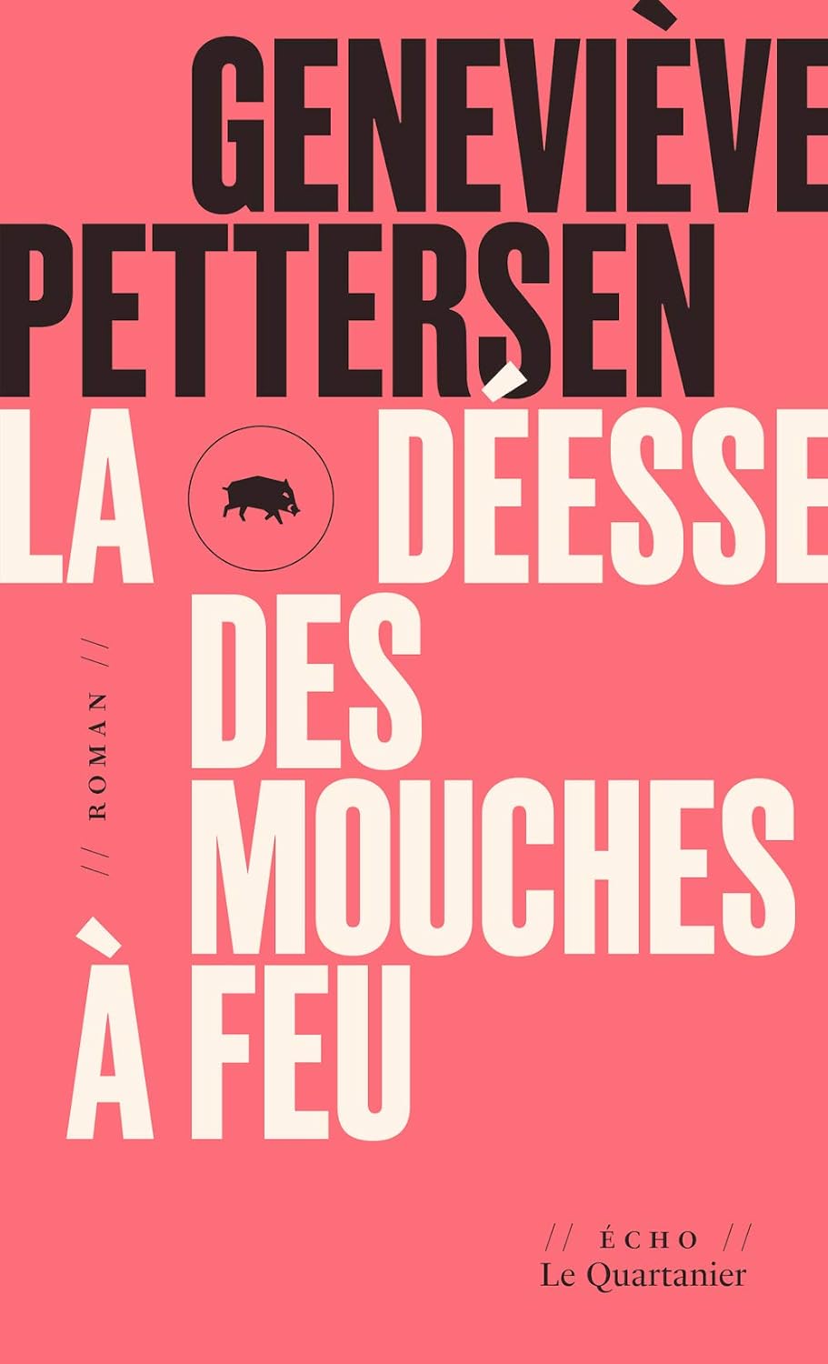 Livre La déesse des mouches à feu - Geneviève Pettersen (Livre d'occasion) - ISBN 2896985484