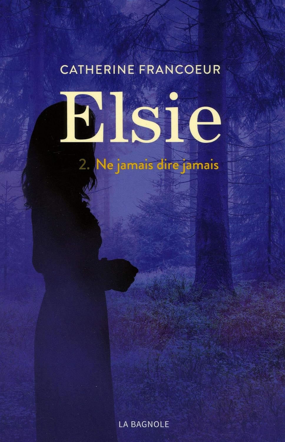 Livre Ne jamais dire jamais - Catherine Francoeur (Livre d'occasion) - ISBN 2897143819