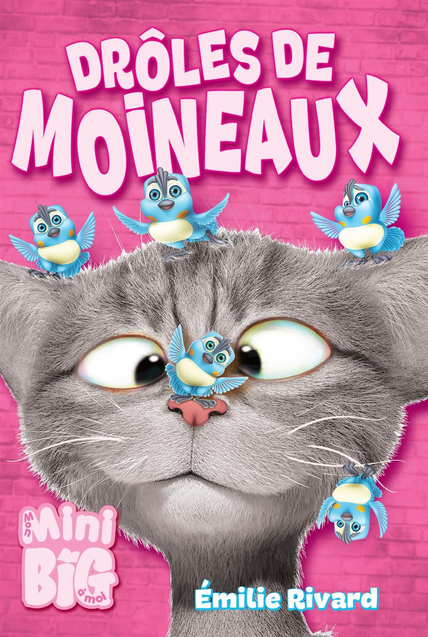 Mon mini Big à moi : Drôles de moineaux - Émilie Rivard