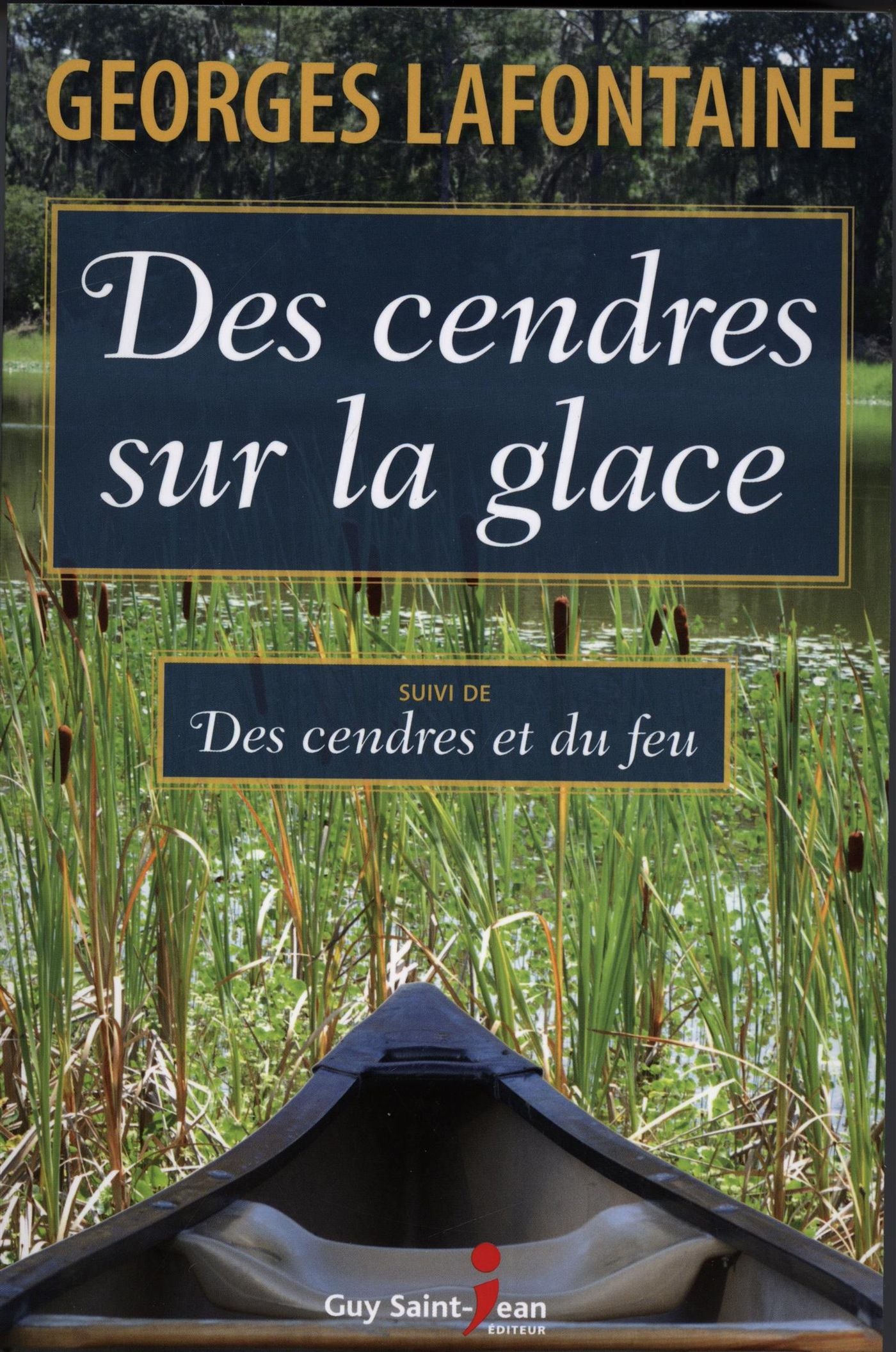 Livre Des cendres sur la glace - suivi de - Des cendres et du feu - Georges Lafontaine (Livre d'o...