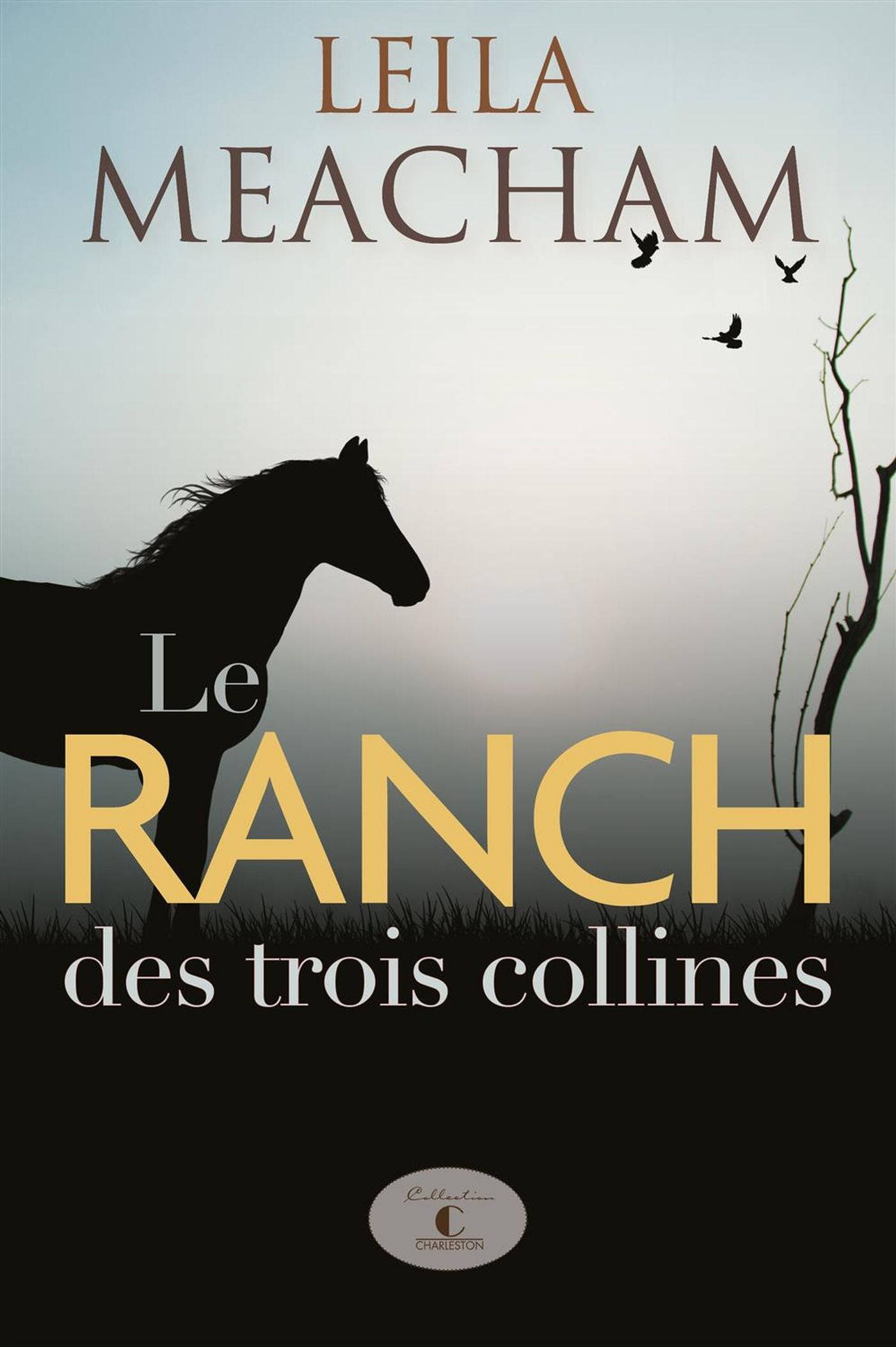 Livre Le ranch des trois collines (Leila Meacham) (Livre d'occasion) - ISBN 2897583231