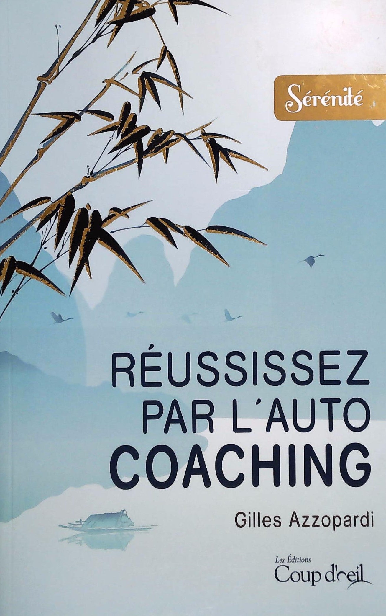 Livre Réussissez par l'auto coaching - Gilles Azzopardi (Livre d'occasion) - ISBN 2897682078