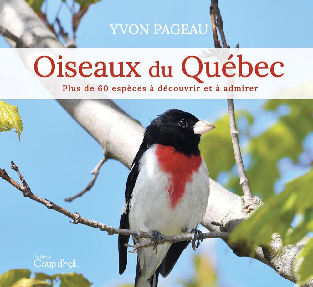 Oiseaux Du Québec : Plus de 60 espèces à découvrir et à admirer - Yvon Pageau