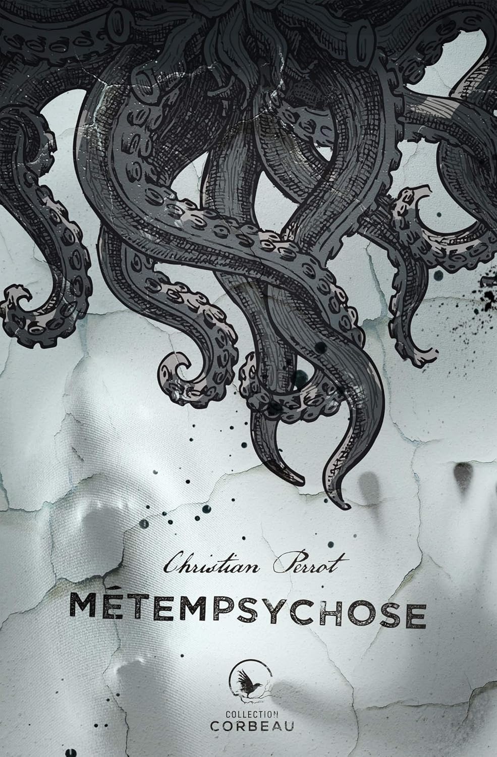 Livre Métempsychose (Christian Perrot) (Livre neuf) - ISBN 2898036188