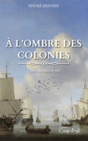 Livre Des oies dans le ciel - André Bernier (Livre d'occasion)
