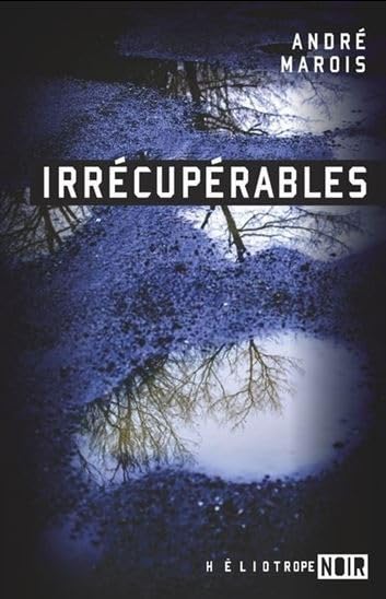 Irrécupérables - André Marois