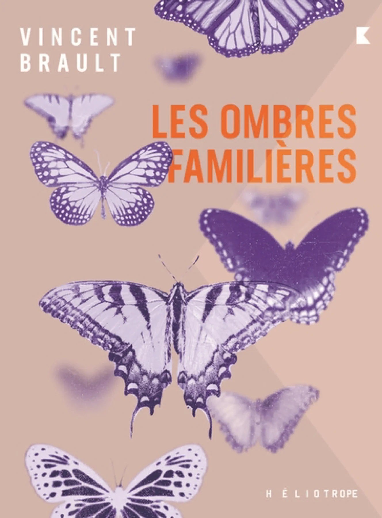 Livre Les ombres familières - Vincent Brault (Livre d'occasion) - ISBN 289822121X