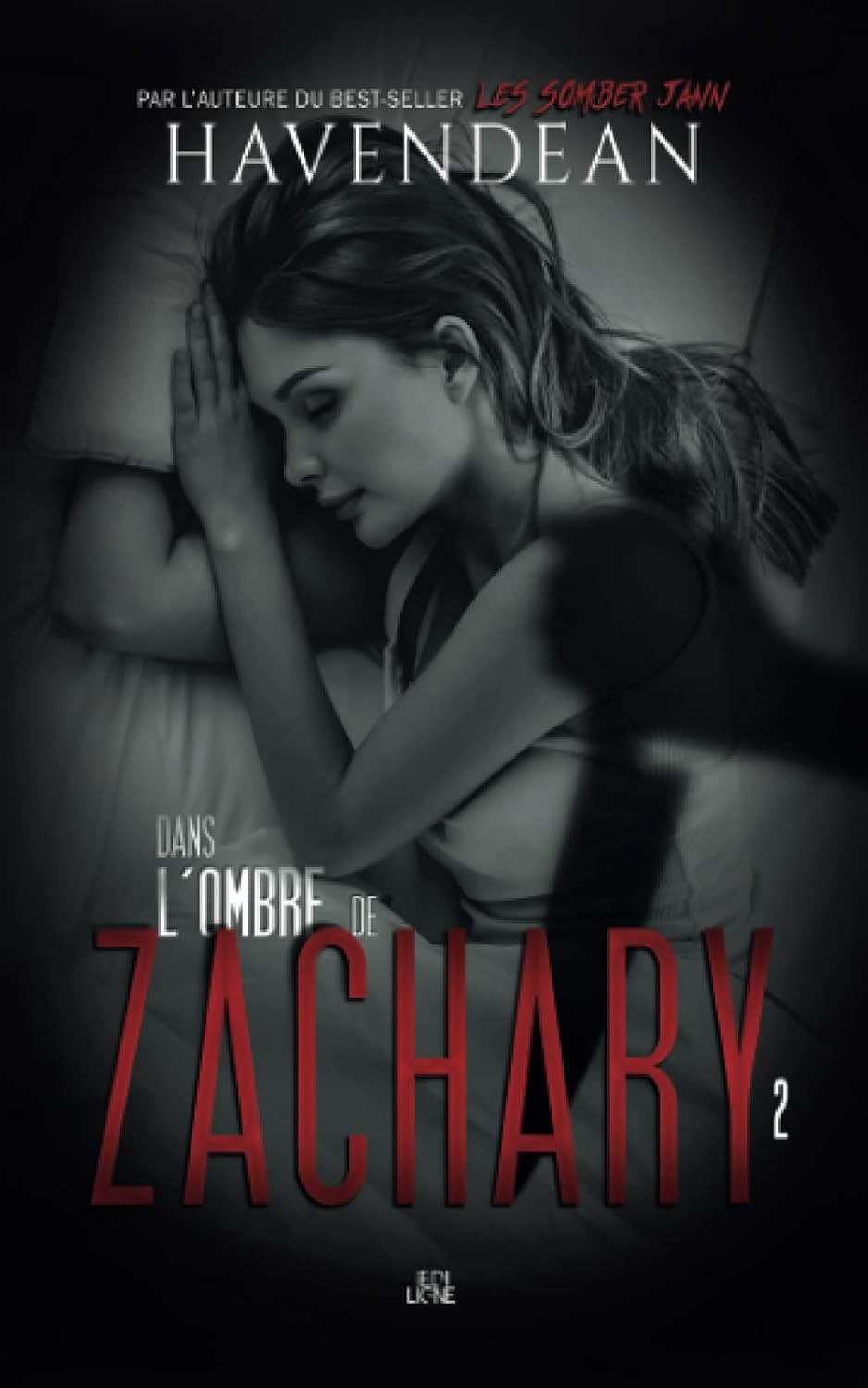 Livre Dans l'ombre de Zachary (Cynthia Havendean) (Livre d'occasion) - ISBN 289832017X