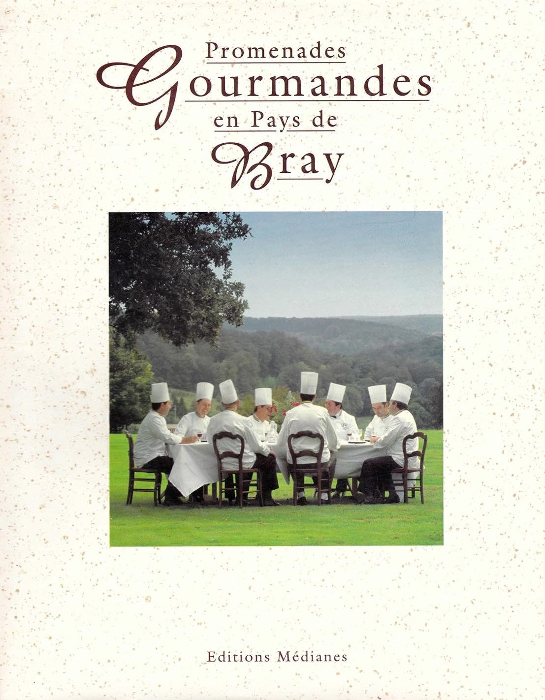 Livre Promenades goumandes en pays de Bray - Francois Vicaire (Livre d'occasion) - ISBN 290834548X