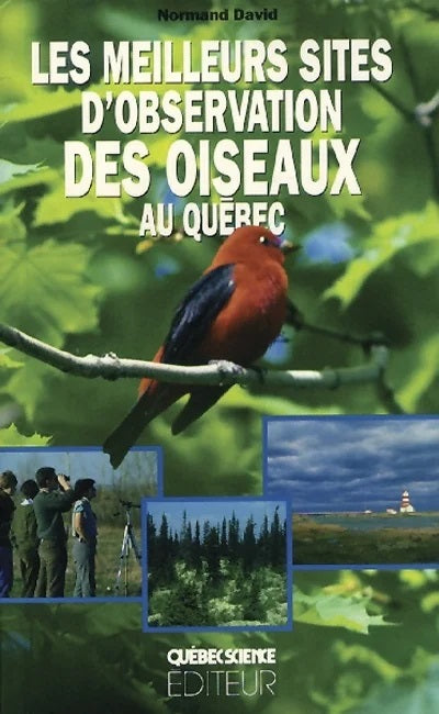Les meilleurs sites d'observation des oiseaux au Québec - Normand David